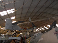 EoN Primary Glider